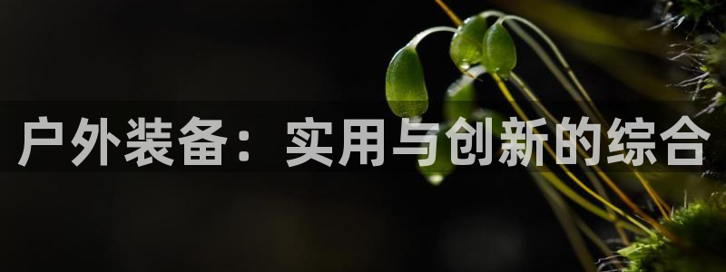 利记体育投注官网