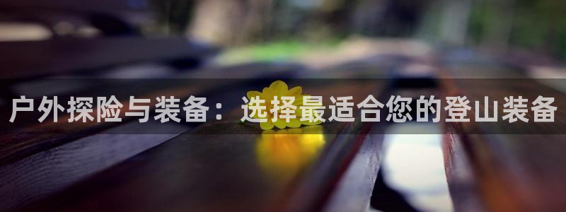利记sbobet官网电脑版