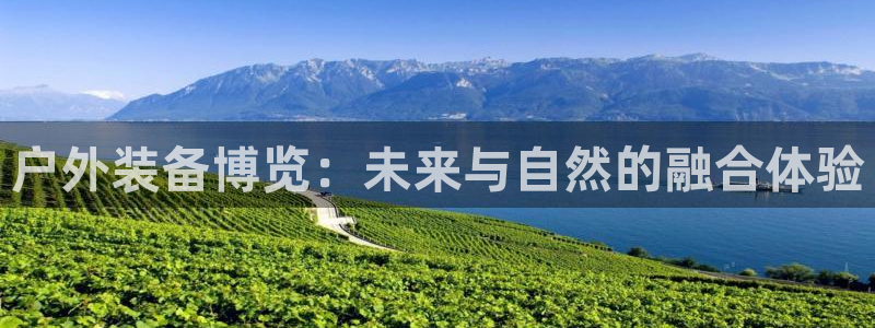 新利记官网