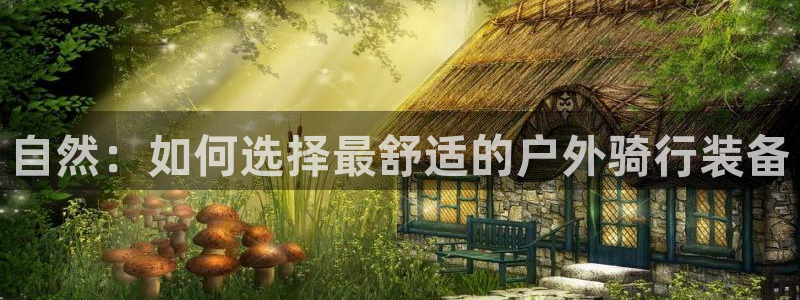 利记官网入口最新版