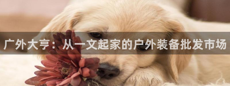 利记官网在线投注