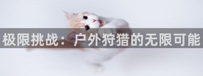 利记娱乐网唯一官网