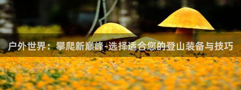 利记彩票网网址官网hd71