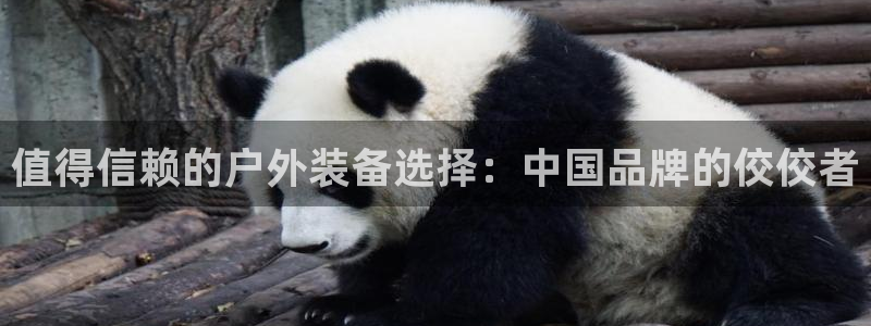 利记手机官网电子mg官方网站