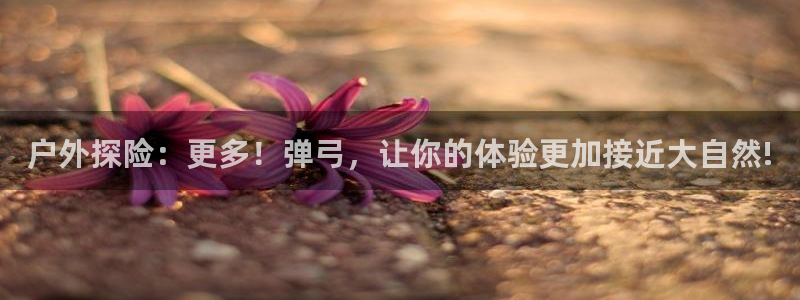 利记官网官方网站