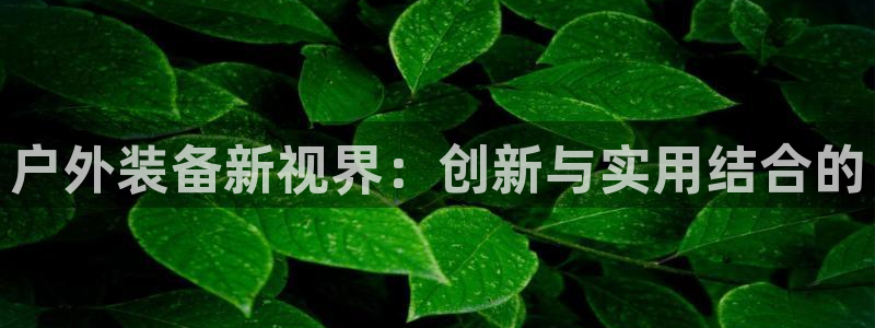 利记彩票导航网址官网hd71