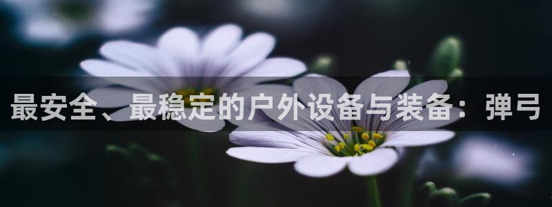 香港利记集团官网地址