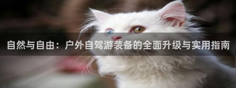 利记娱乐网唯一官网