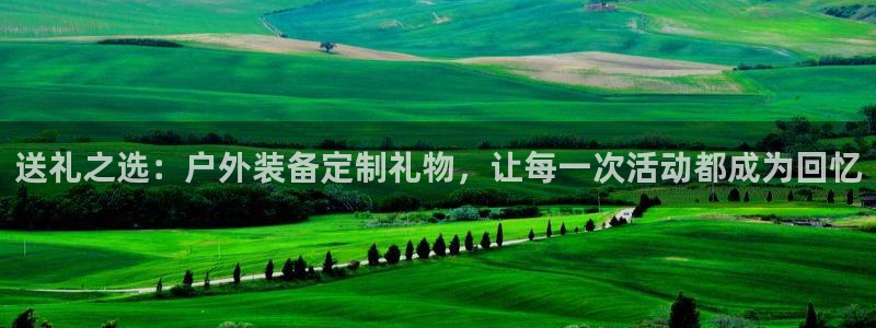 利记体育手机版官网