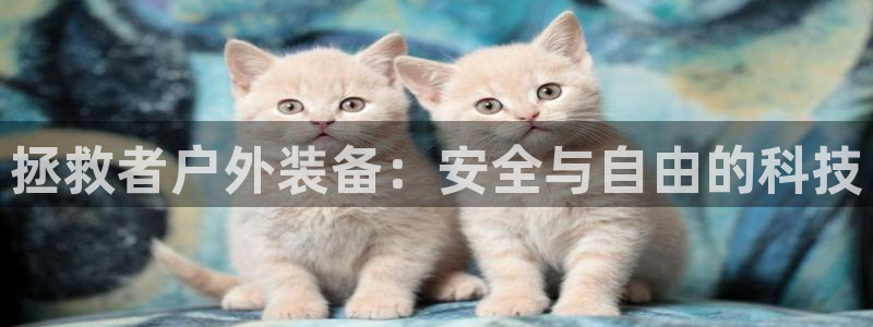 万利记官网电话