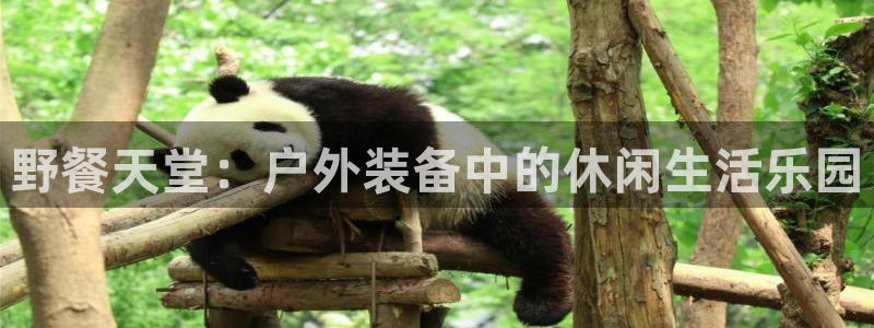 利记科技有限公司官网