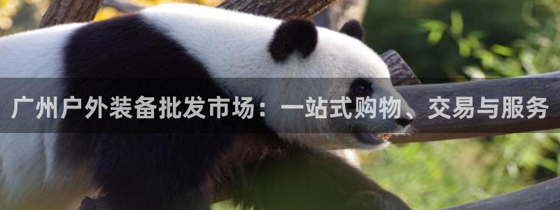 利记坊官网注册账号
