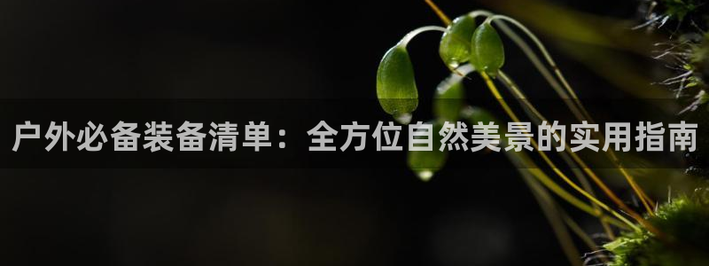 利记官网是多少
