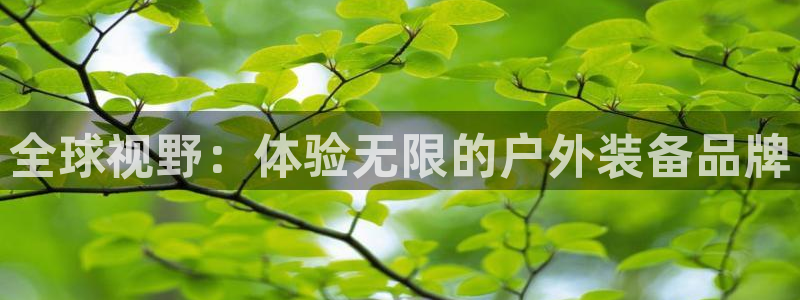 利记官网电脑版
